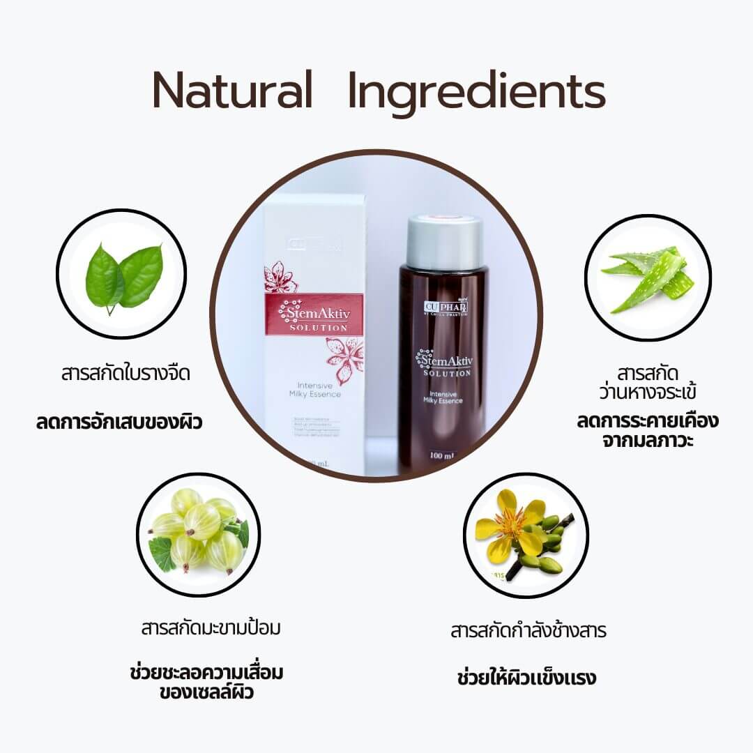 StemAktiv Solution - Intensive Milky Essence - Image 2